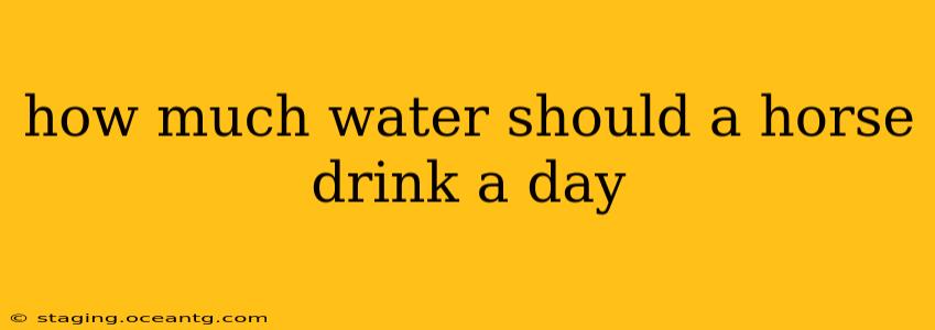 how much water should a horse drink a day