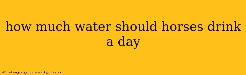 how much water should horses drink a day