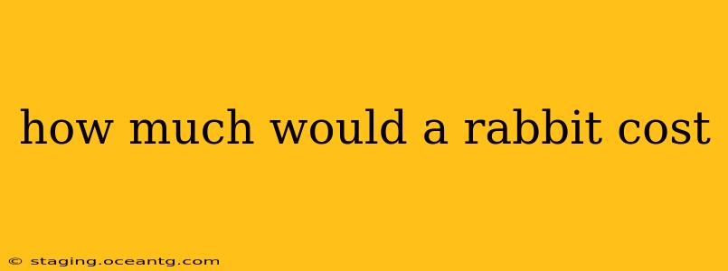 how much would a rabbit cost