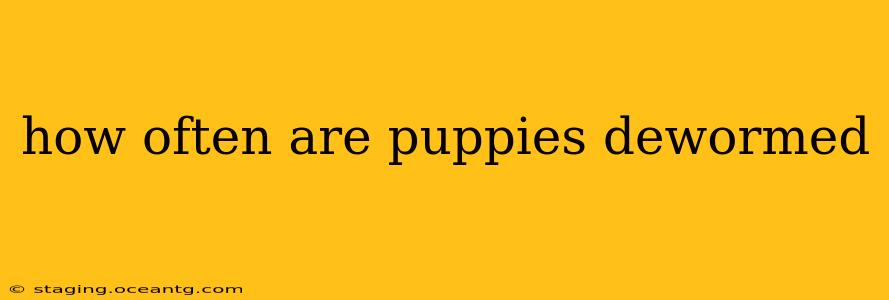 how often are puppies dewormed