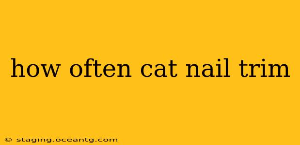 how often cat nail trim