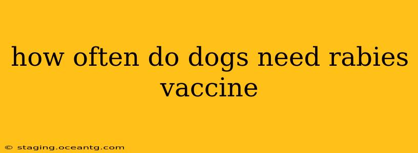 how often do dogs need rabies vaccine