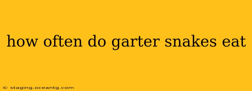 how often do garter snakes eat