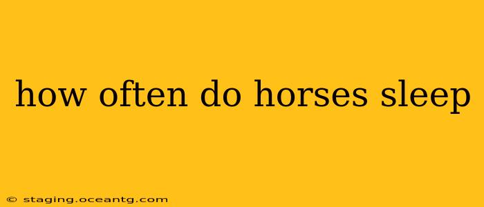 how often do horses sleep