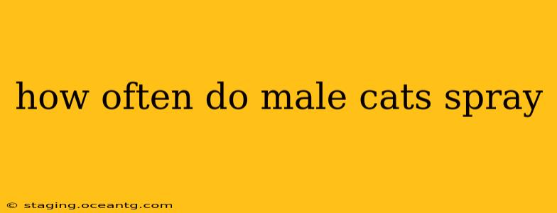 how often do male cats spray