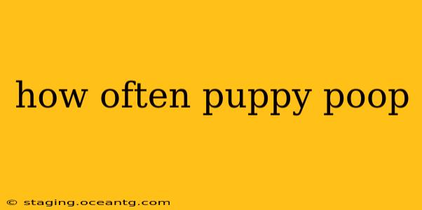 how often puppy poop