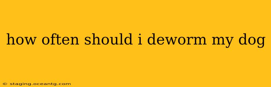 how often should i deworm my dog