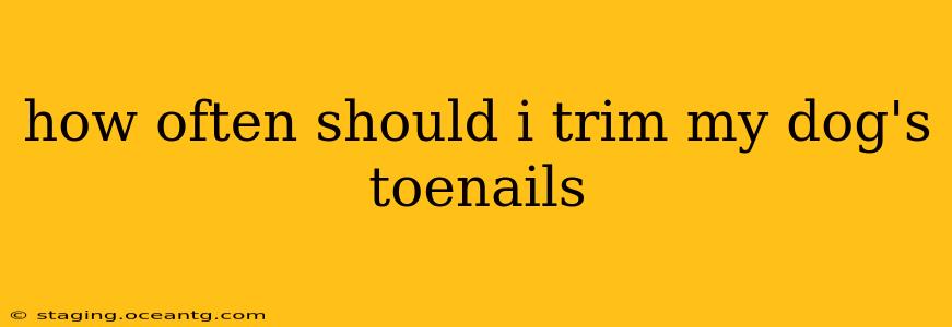 how often should i trim my dog's toenails