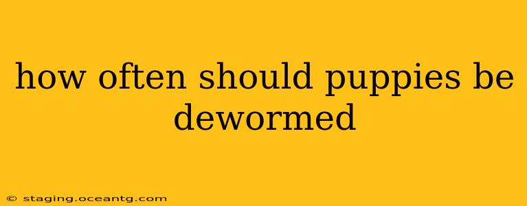 how often should puppies be dewormed