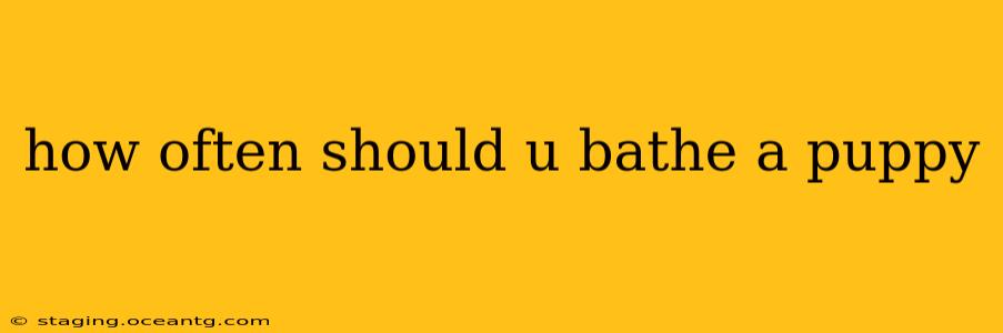 how often should u bathe a puppy
