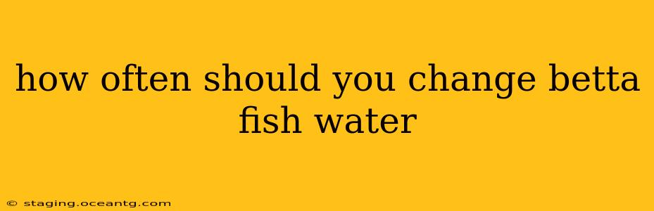 how often should you change betta fish water