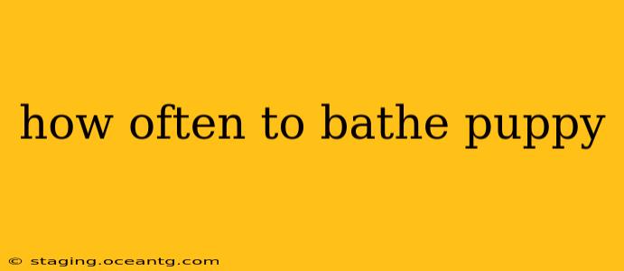 how often to bathe puppy