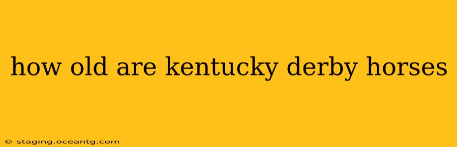 how old are kentucky derby horses