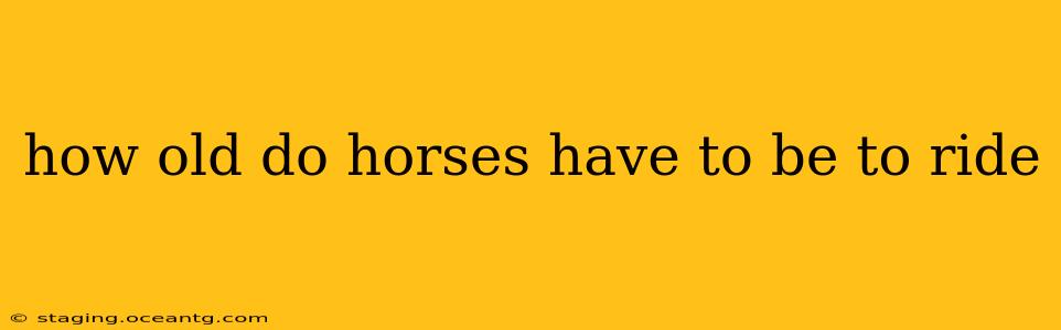how old do horses have to be to ride