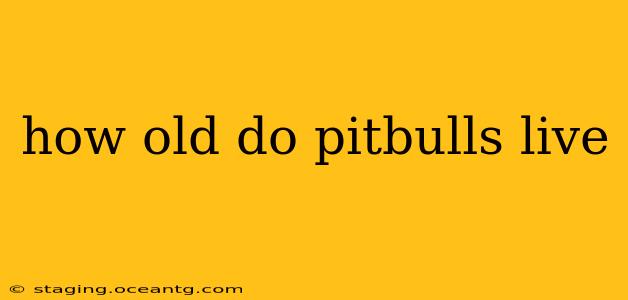 how old do pitbulls live