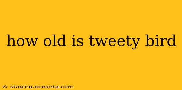 how old is tweety bird