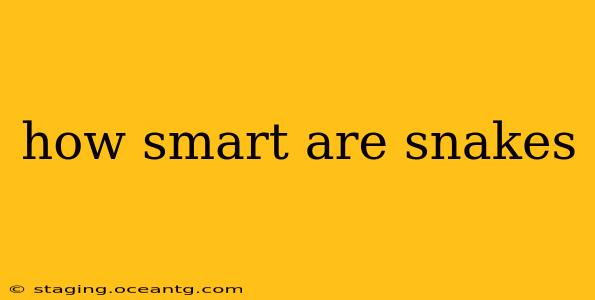 how smart are snakes