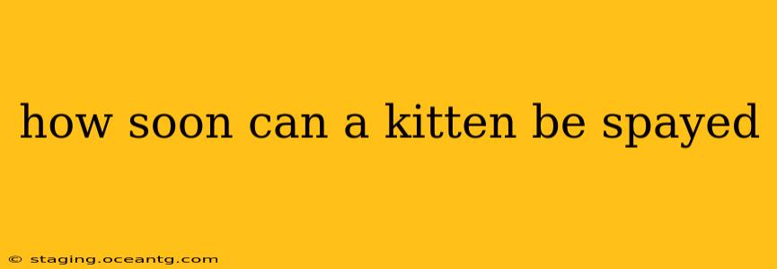 how soon can a kitten be spayed