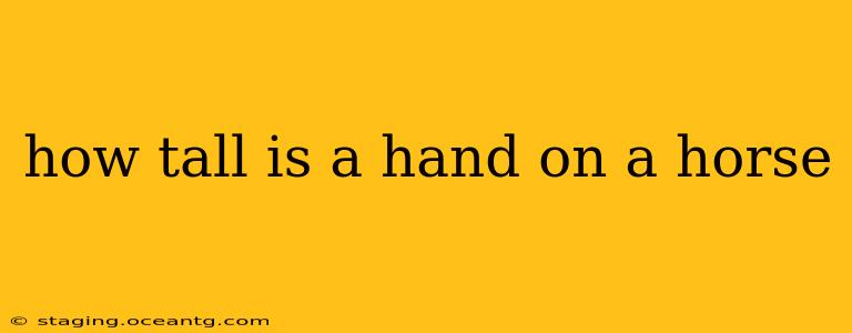 how tall is a hand on a horse
