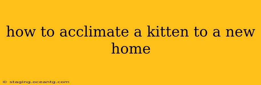 how to acclimate a kitten to a new home