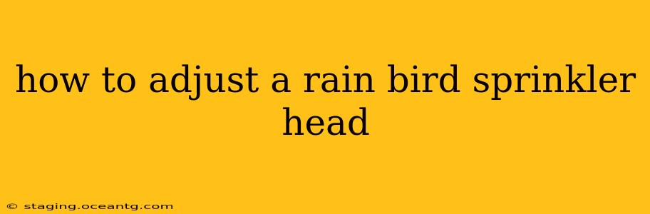 how to adjust a rain bird sprinkler head