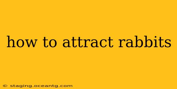 how to attract rabbits
