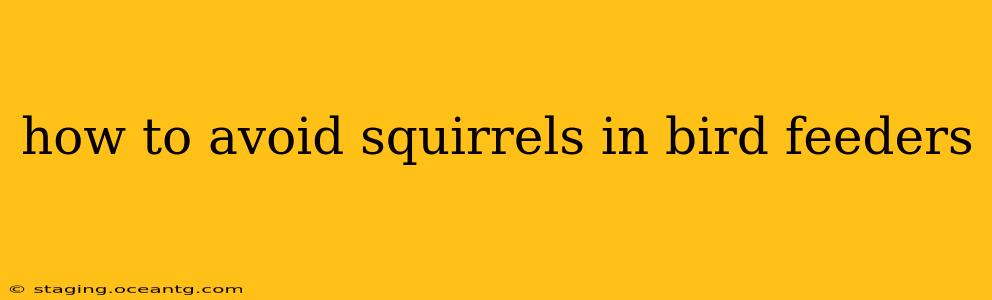 how to avoid squirrels in bird feeders