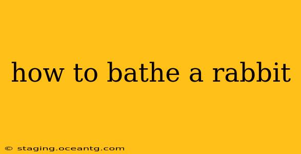 how to bathe a rabbit