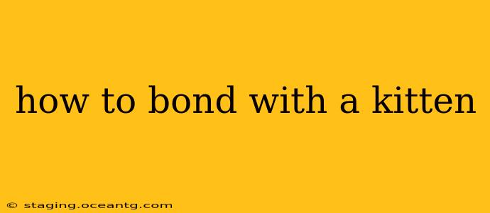 how to bond with a kitten
