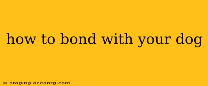 how to bond with your dog