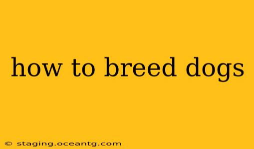how to breed dogs