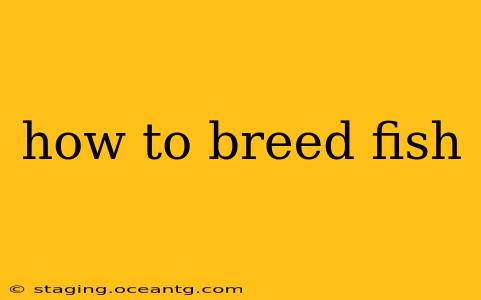 how to breed fish