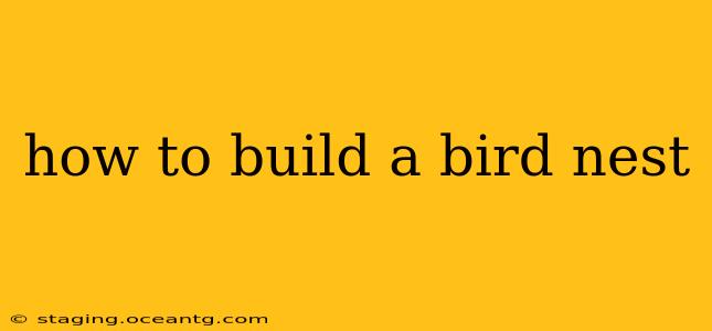 how to build a bird nest