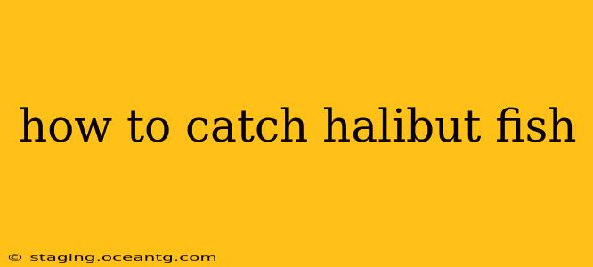how to catch halibut fish