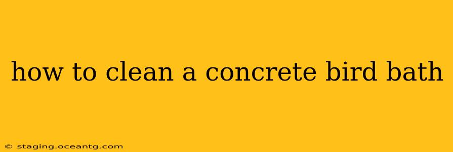 how to clean a concrete bird bath