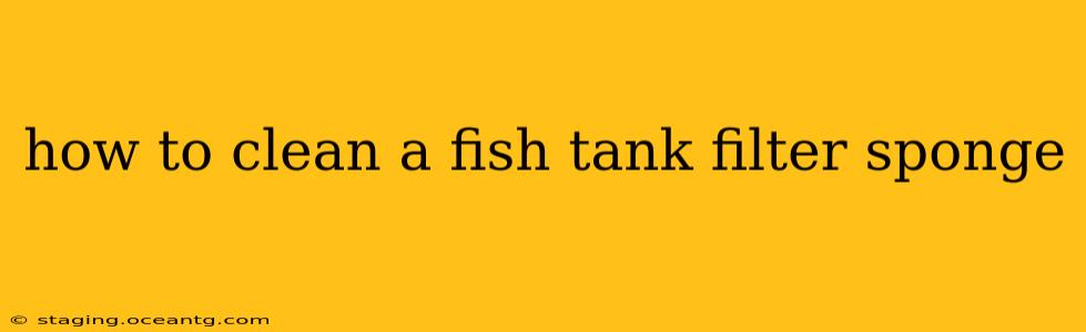 how to clean a fish tank filter sponge