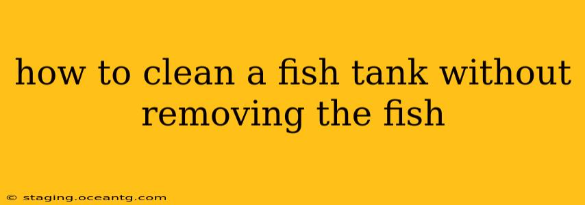 how to clean a fish tank without removing the fish