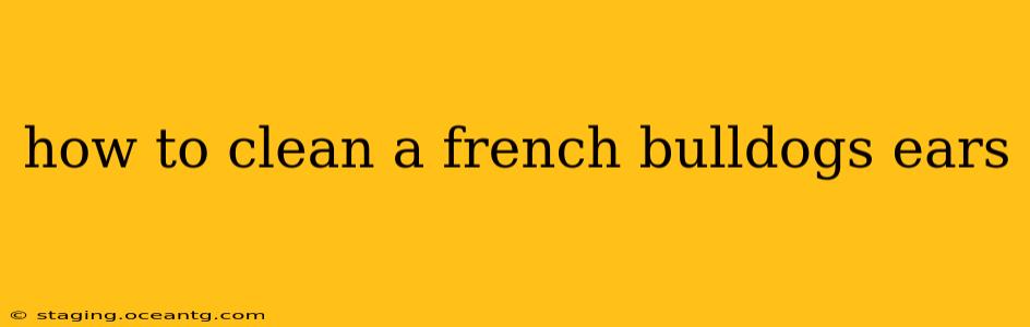 how to clean a french bulldogs ears