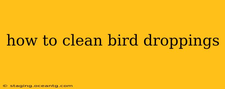 how to clean bird droppings