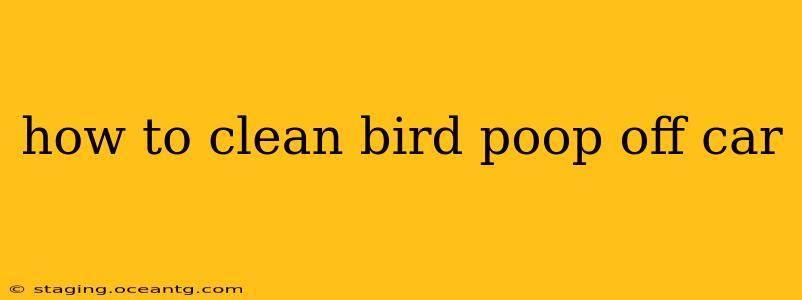 how to clean bird poop off car