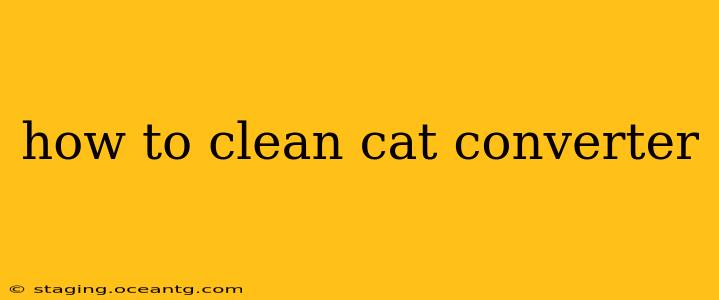 how to clean cat converter