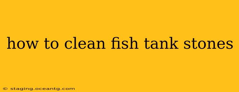 how to clean fish tank stones
