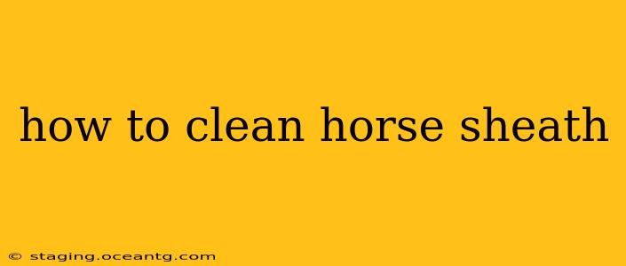 how to clean horse sheath