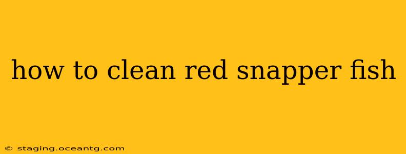 how to clean red snapper fish