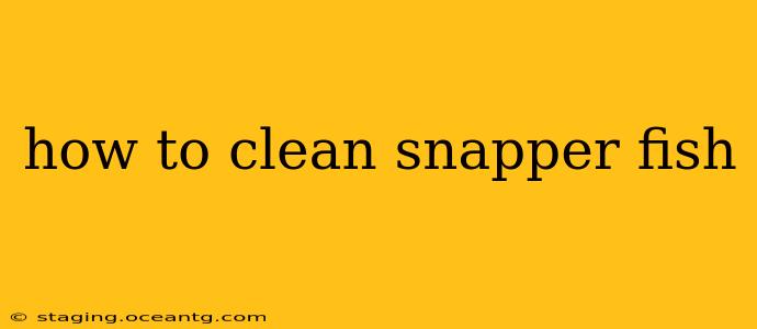 how to clean snapper fish