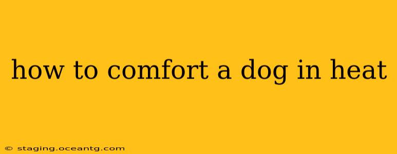 how to comfort a dog in heat