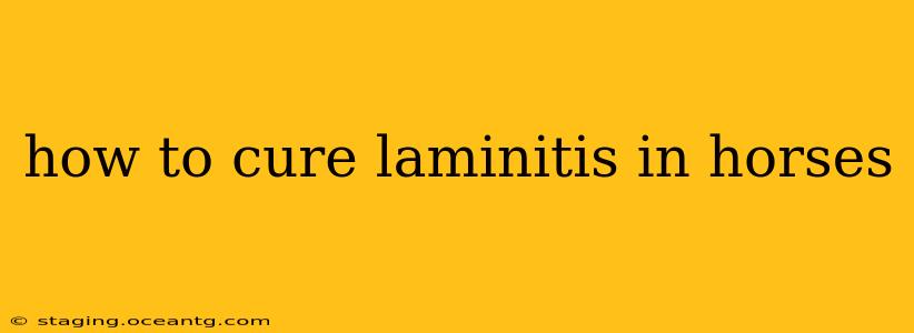 how to cure laminitis in horses