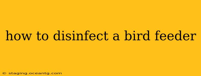 how to disinfect a bird feeder