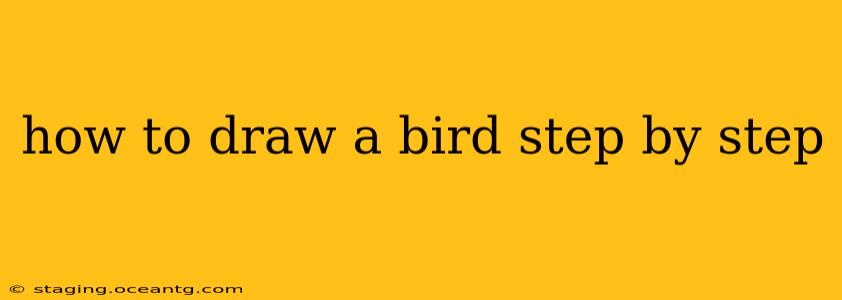 how to draw a bird step by step