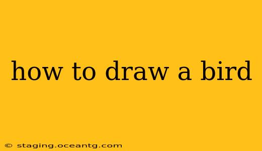 how to draw a bird